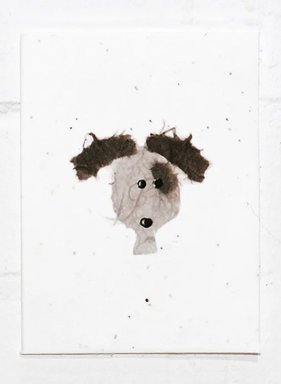 Dog+.jpg