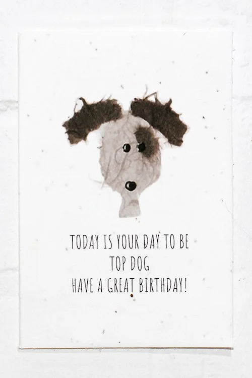 Dog+Birthday.jpg