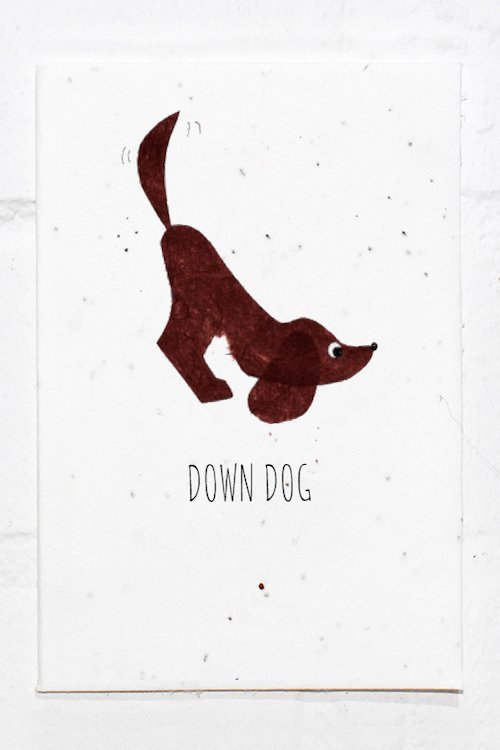 Down+dog.jpg