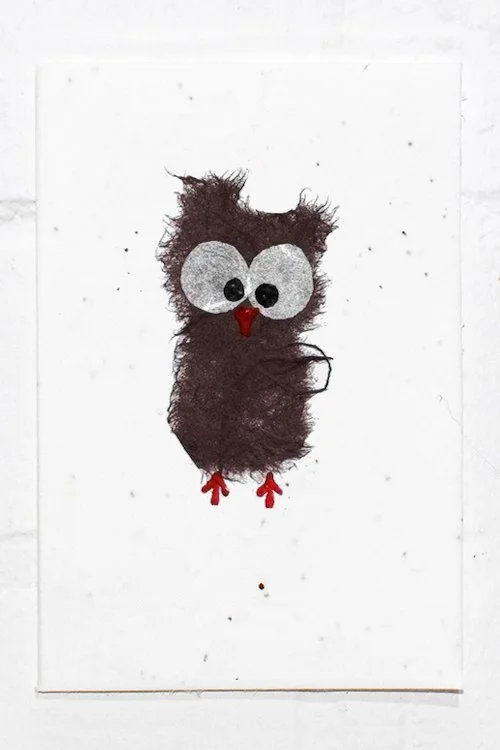 Owl+.jpg