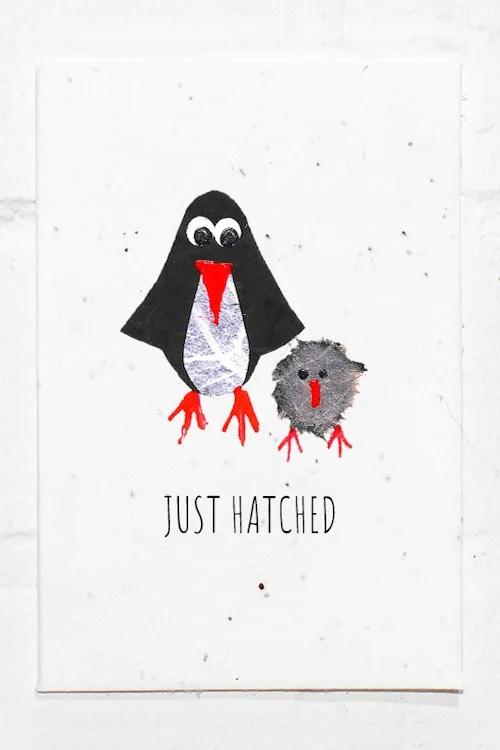 Penguin+Baby.jpg