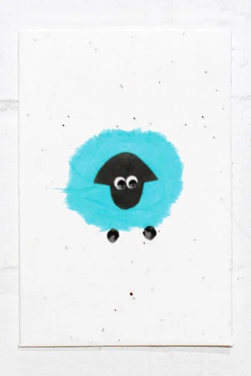 Sheep+.jpg