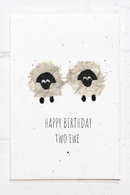 Sheep+Birthday.jpg