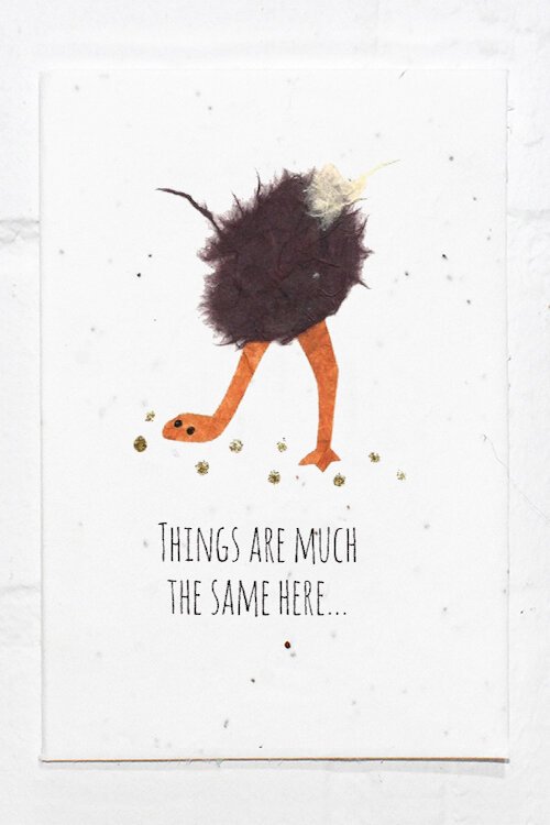WEBSITE+Ostrich++copy.jpg