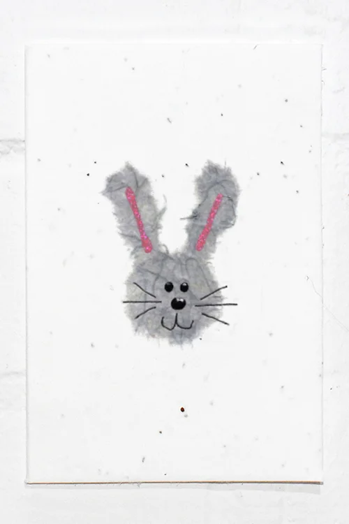 Bunny.jpg