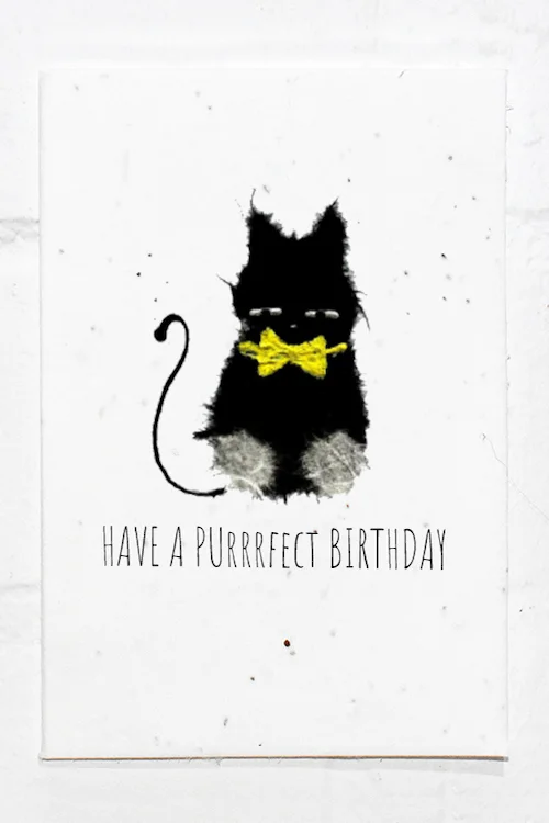 Cat Birthday.jpg