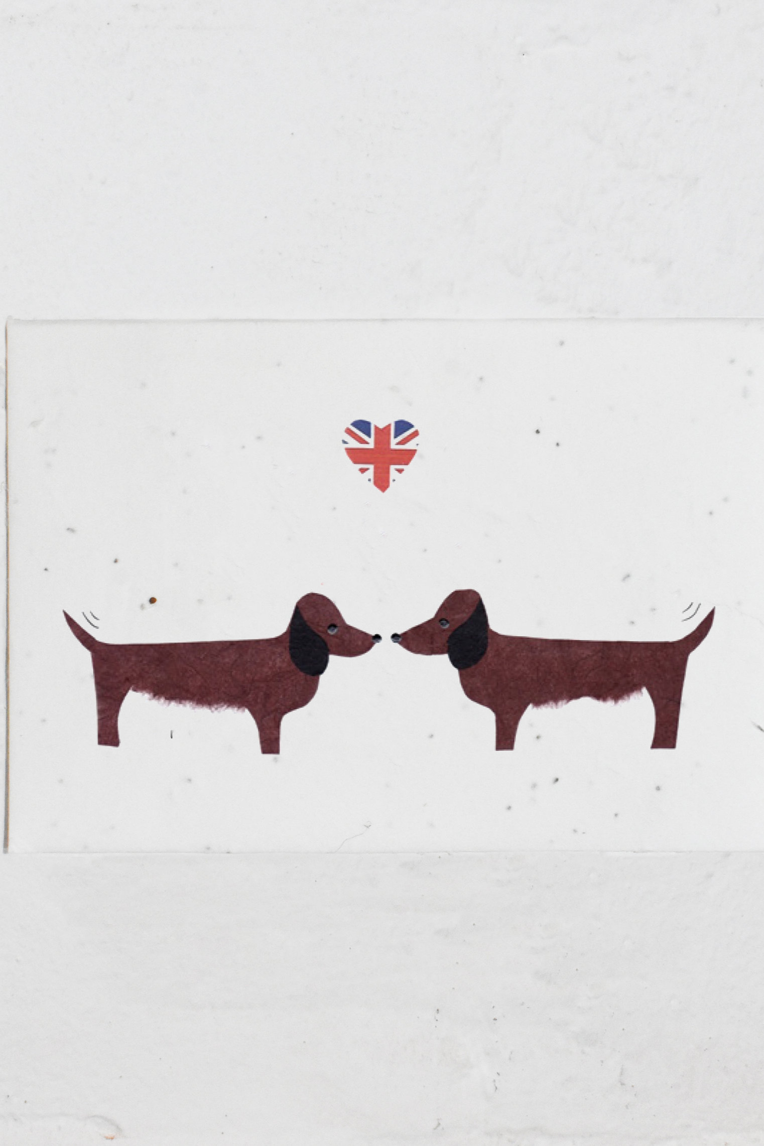 Kissing Sausages -Wholesale