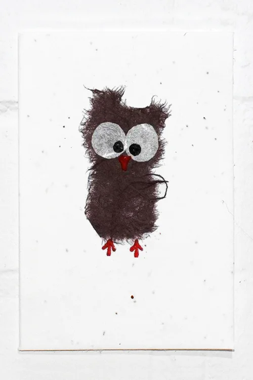 Owl .jpg