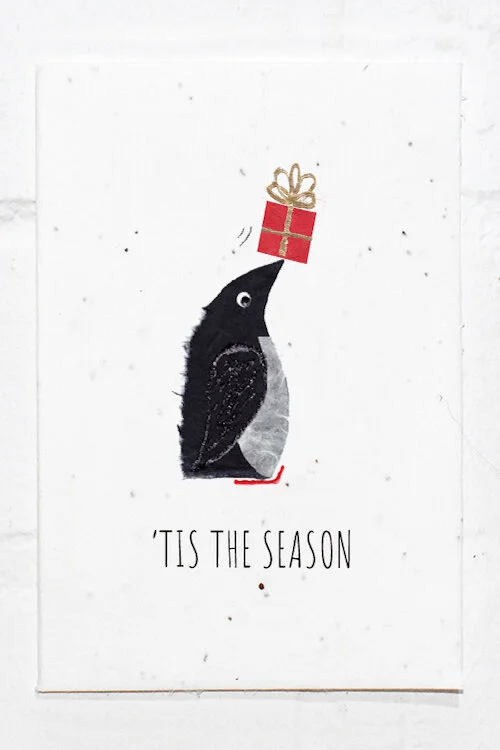 Festive Penguin.jpg
