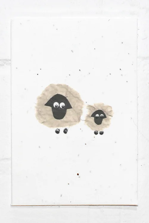 sheep and baby.jpg