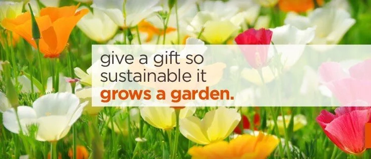 sustainable gift edit.jpg
