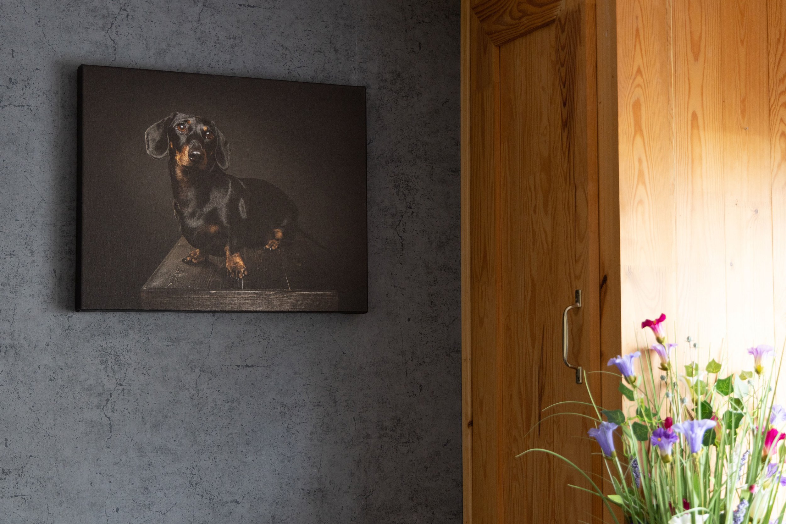 A painting of a black and tan dachshund dog on a dark background, hung on a textured concrete wall next to a wooden countertop with a metal handle and a vase of purple and pink flowers.