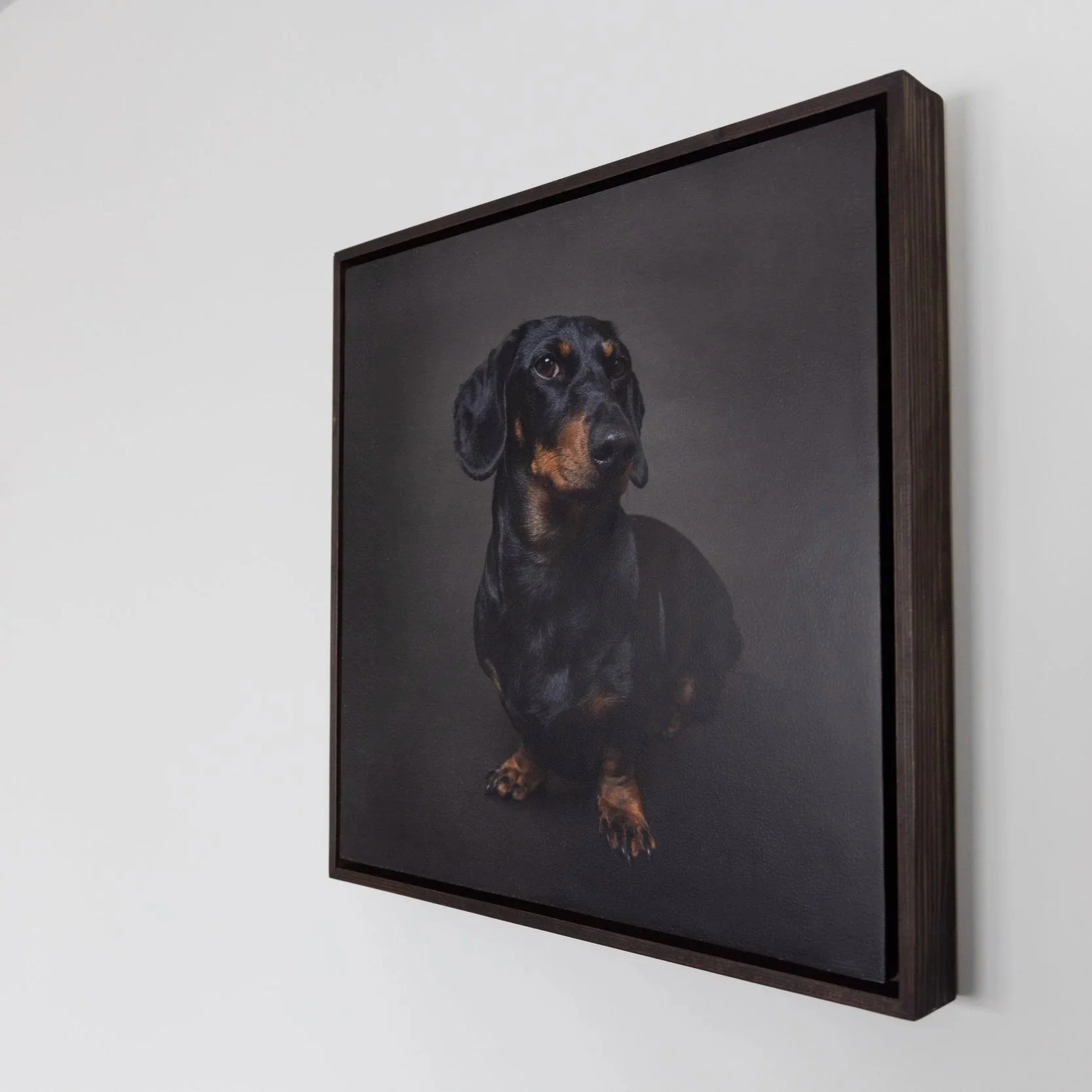 Framed portrait of a black and brown dog, possibly a hound, on a dark background, leaning slightly to the right.