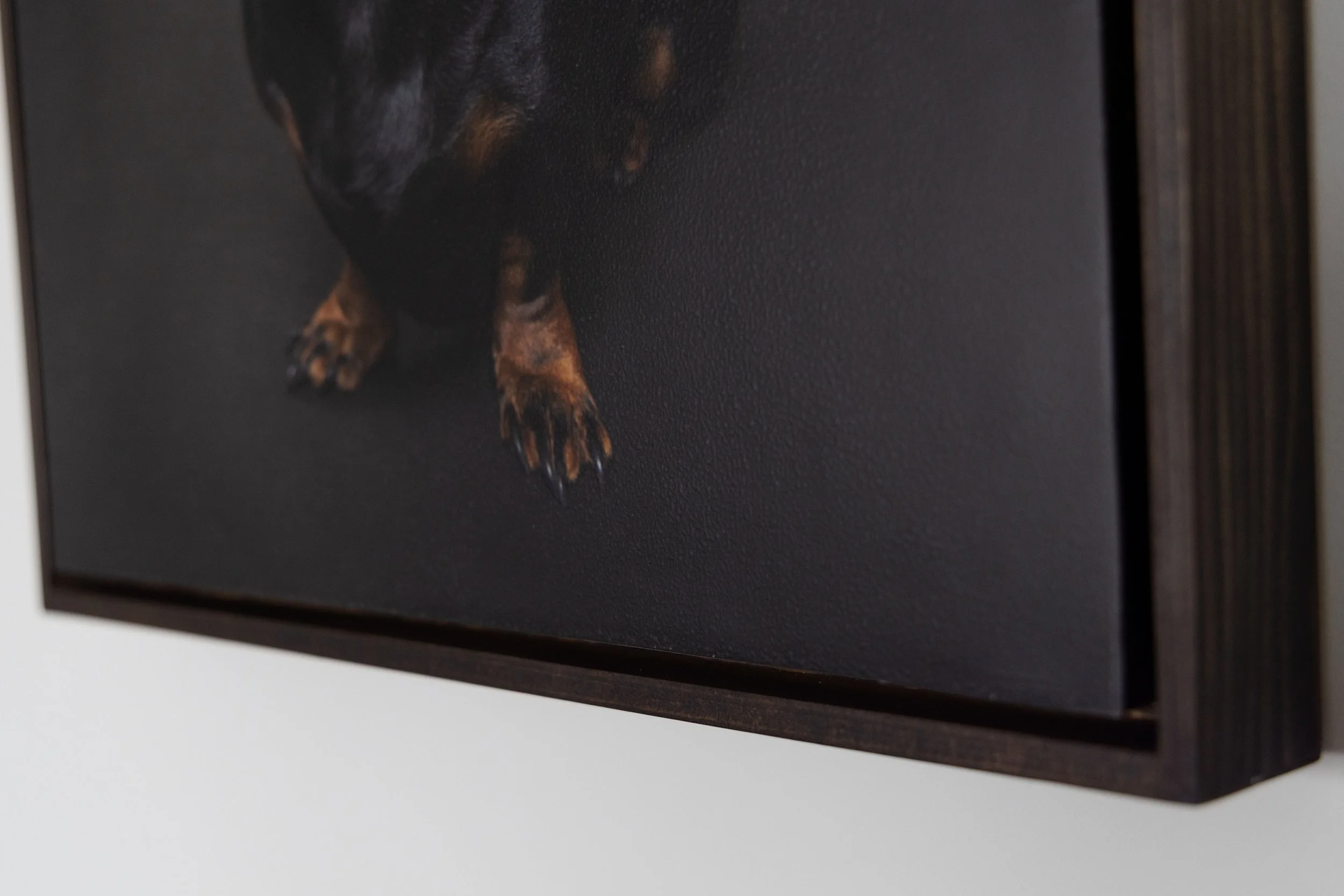 Close-up of a black and brown dog lying on a dark textured surface, floating wood block
