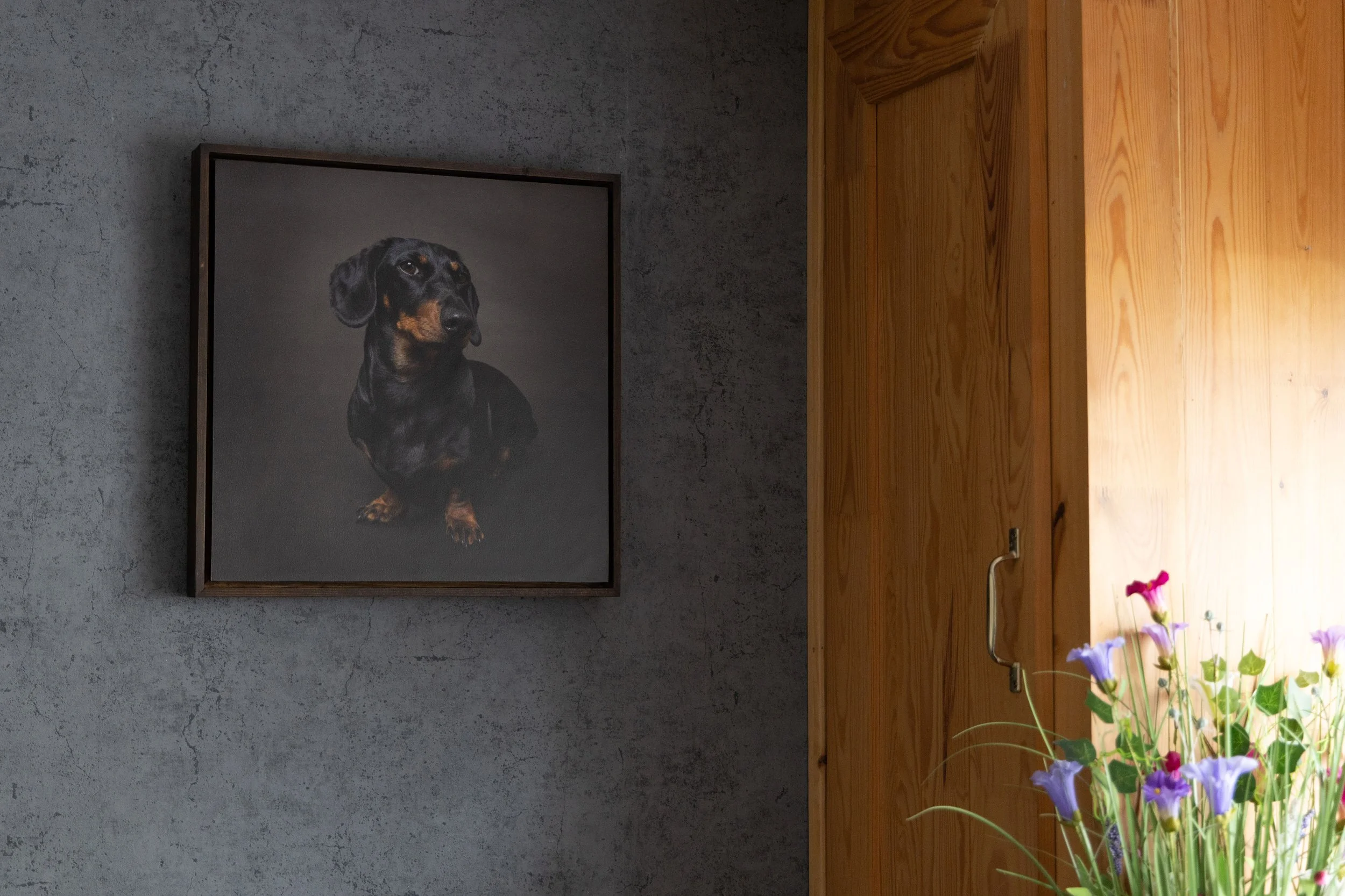 A framed painting of a black and brown dachshund dog on a gray wall, next to a wooden shelf and a bunch of colorful flowers.