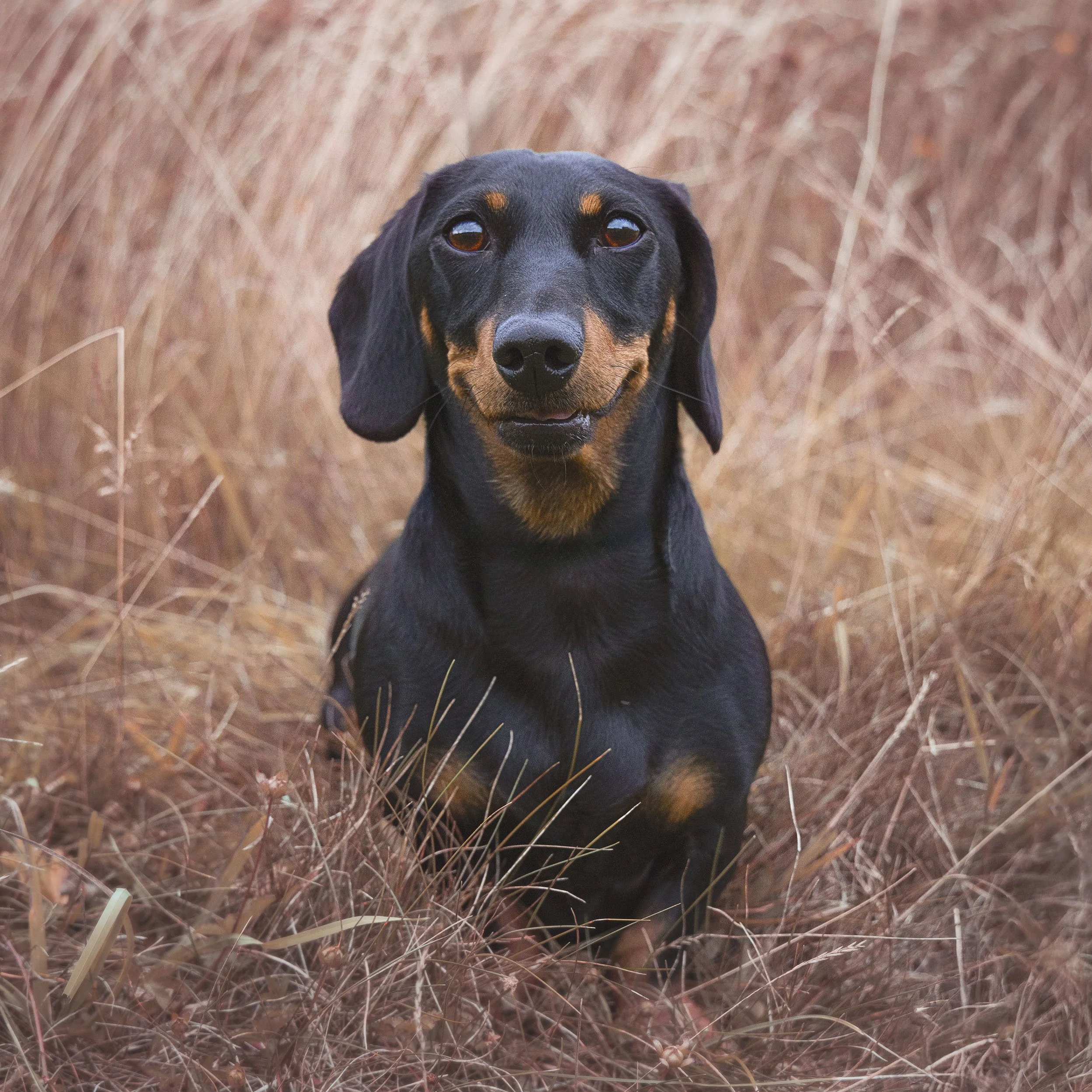 0X3A9837-Edit.jpg