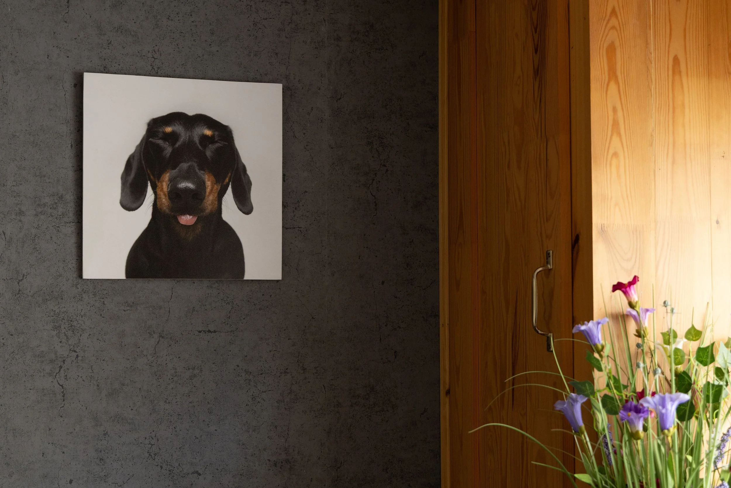 A framed print of a black and tan dog with closed eyes on a dark wall, next to a wooden surface with a colorful flower arrangement.