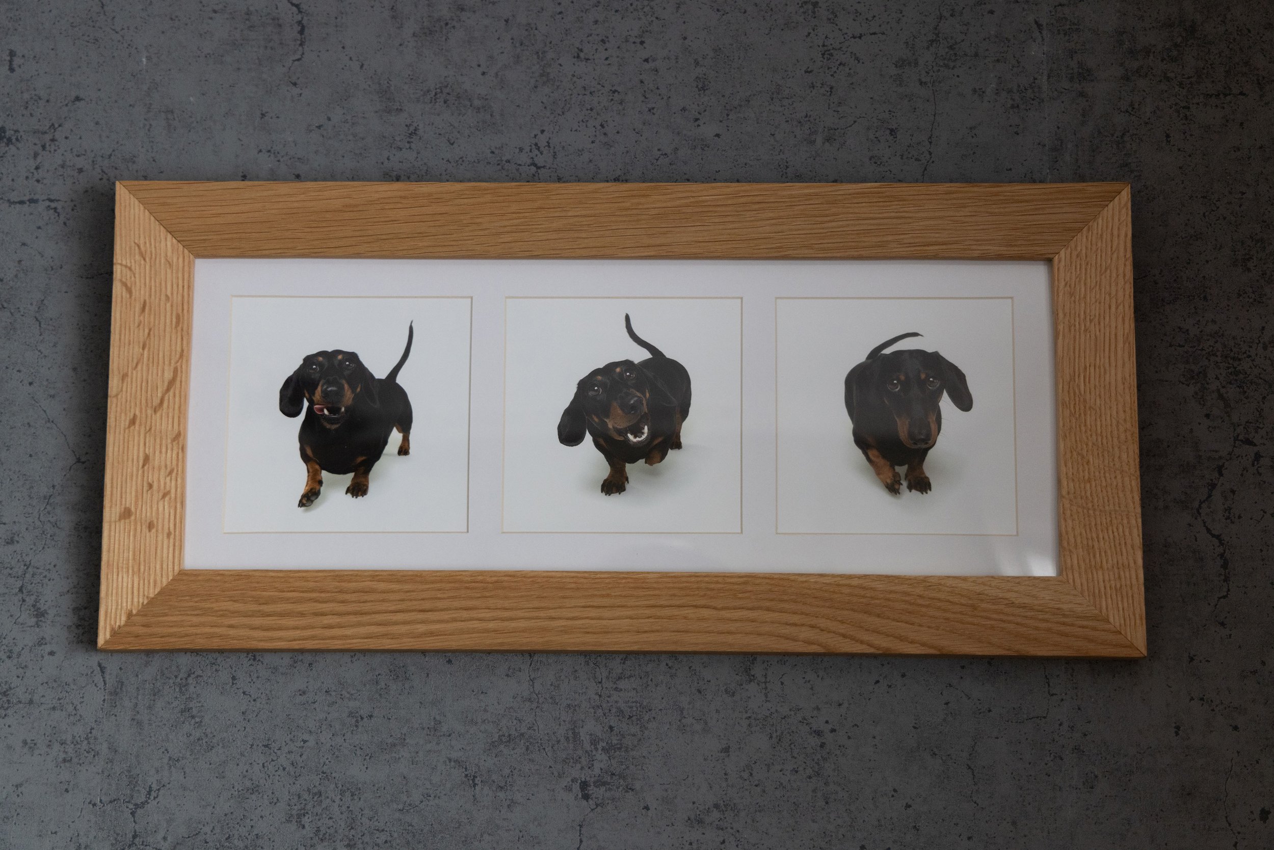 A framed picture of three dachshund illustrations on a white background with a wooden frame, placed on a dark gray concrete surface.