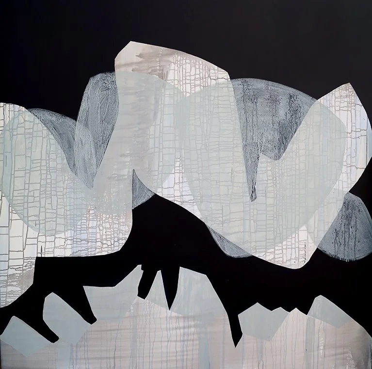 Abstract black and white design with organic shapes and textured patterns.