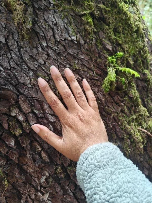 Introduction to Ecotherapy: An Online Homestudy Course