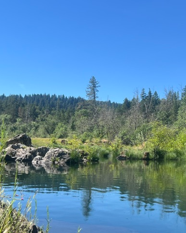 Advanced Professional Somatic Ecotherapy Training & Certification — Level 3