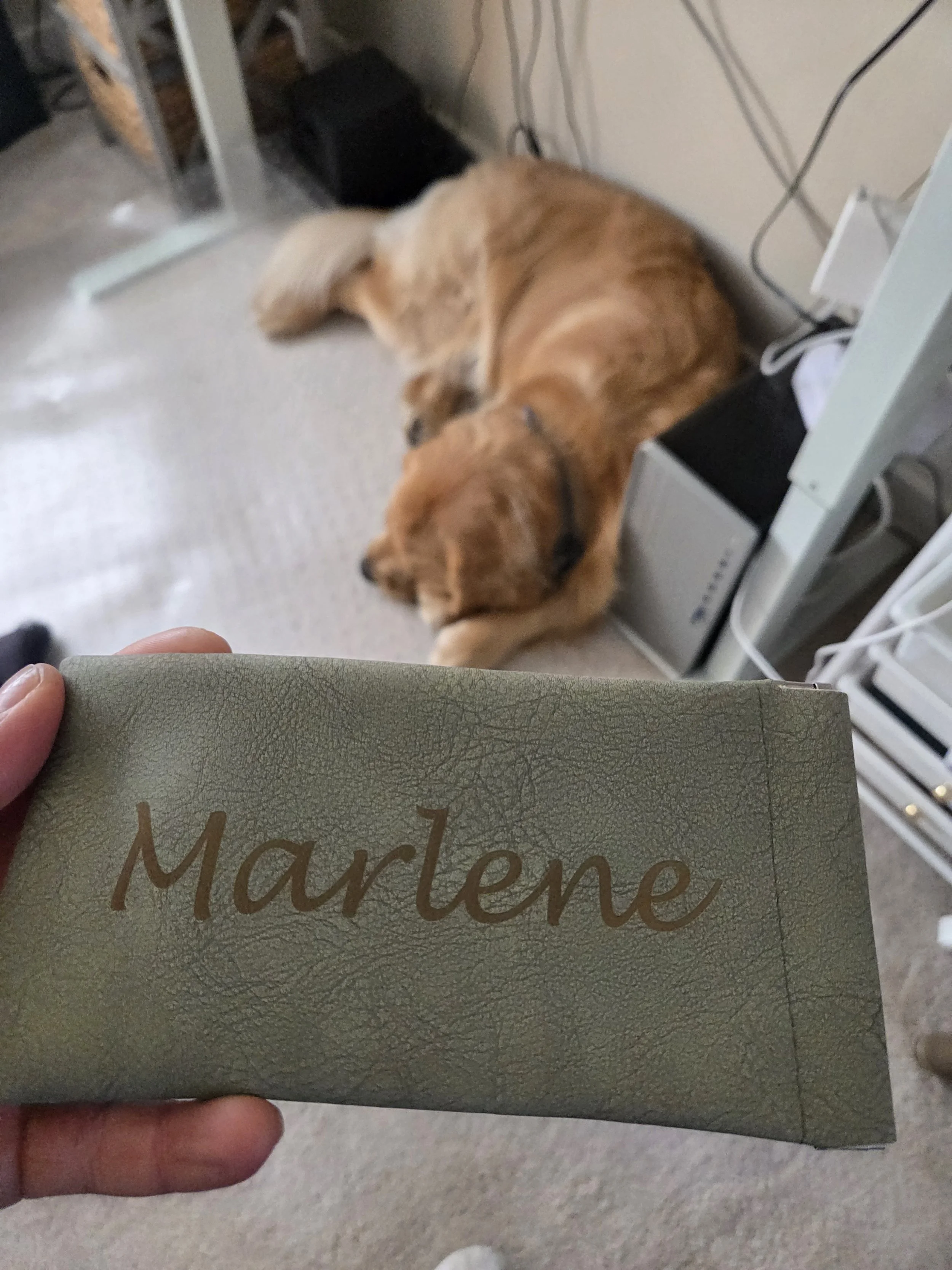 Sunglass case
