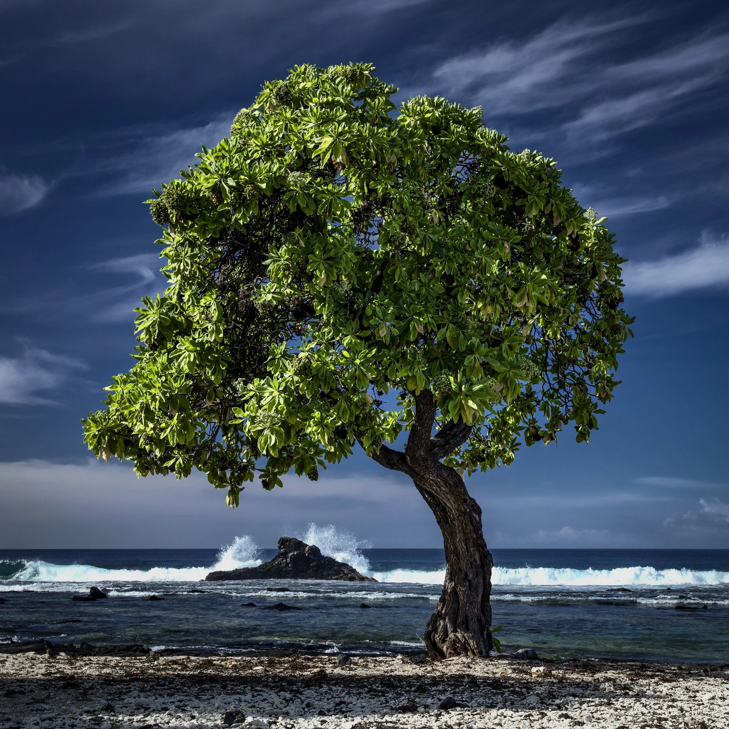Kailua-Kona, Hawaii