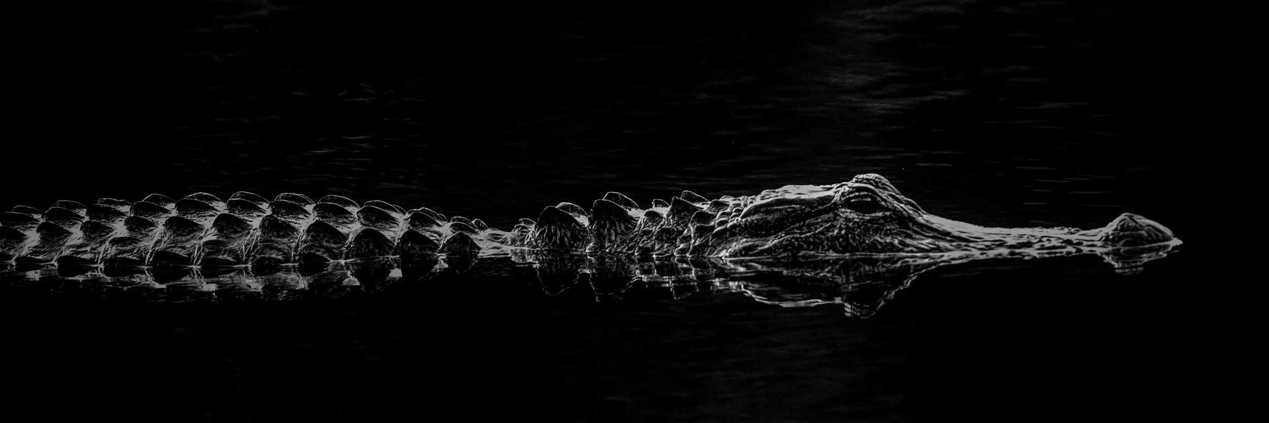 Dark Water