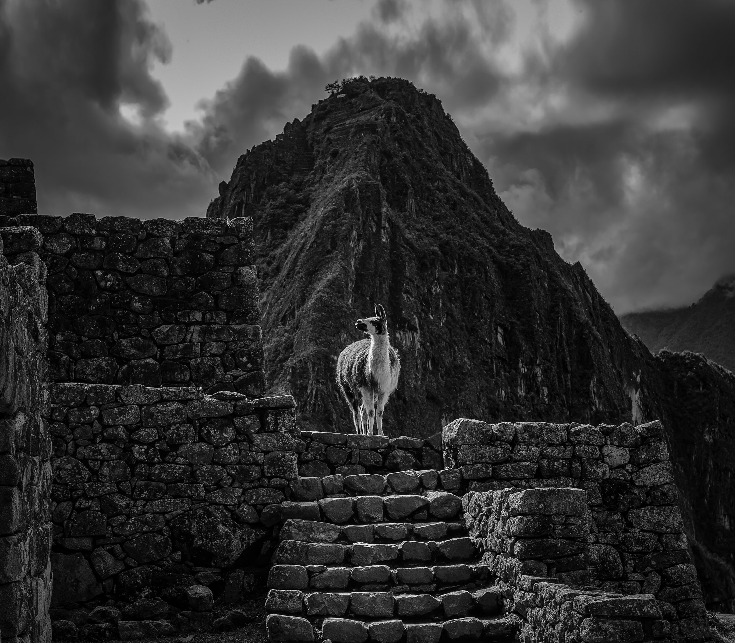 Machu Piccu, Peru