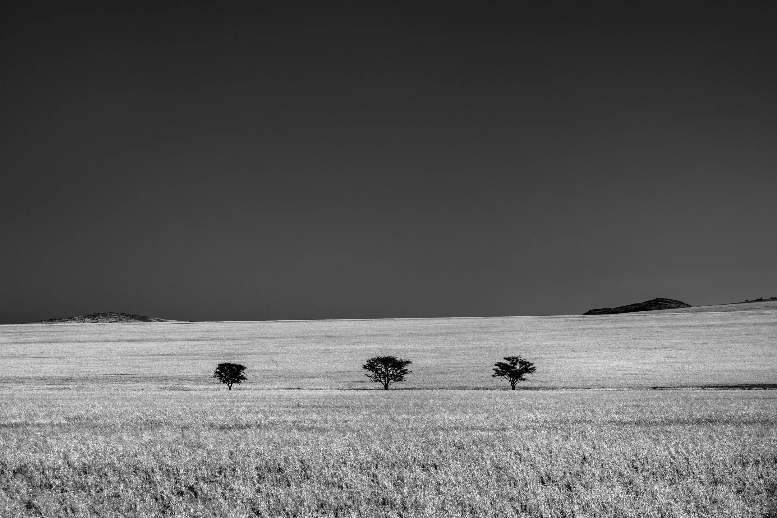 Three Witnesses - Namibia