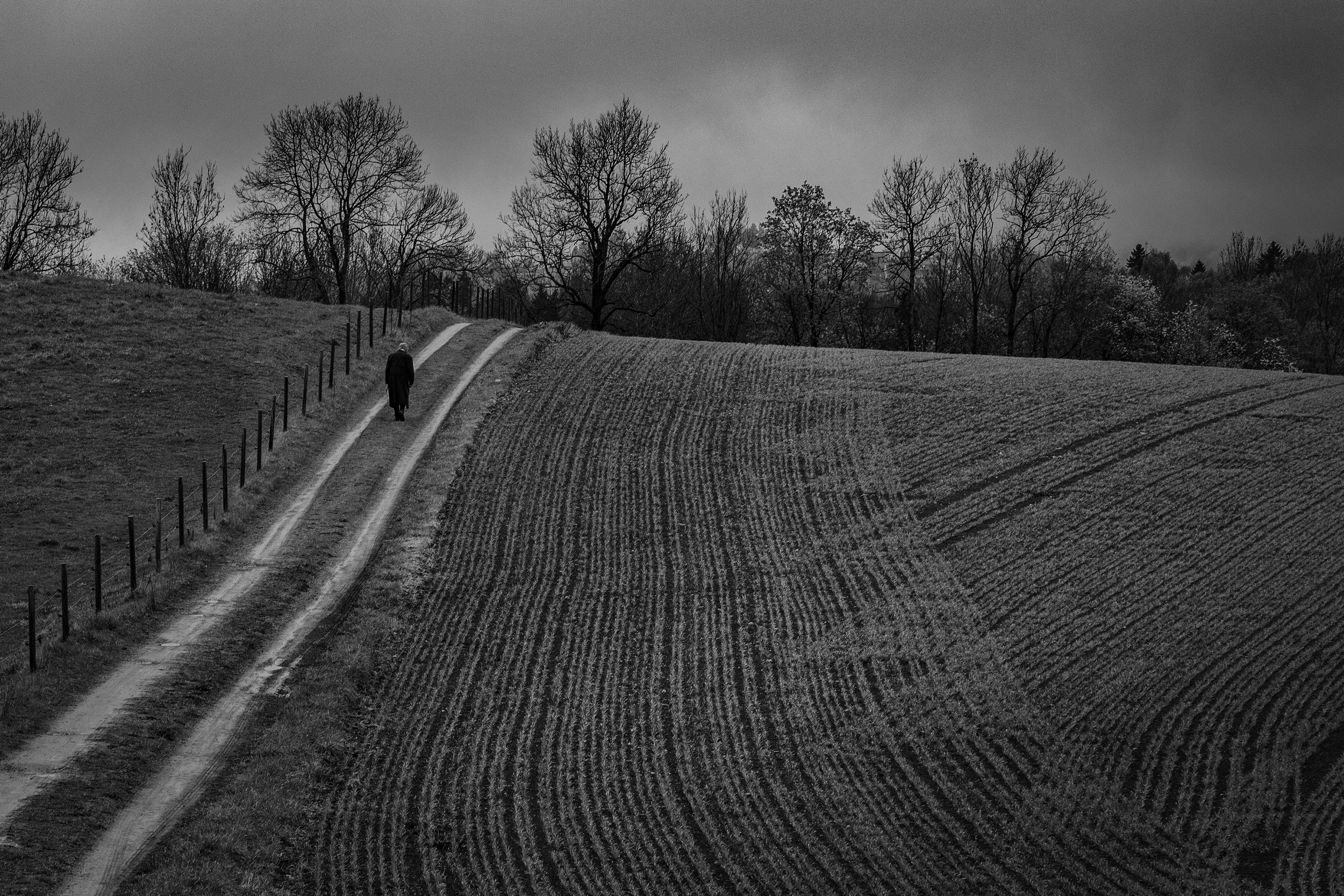 Homeward - Norway
