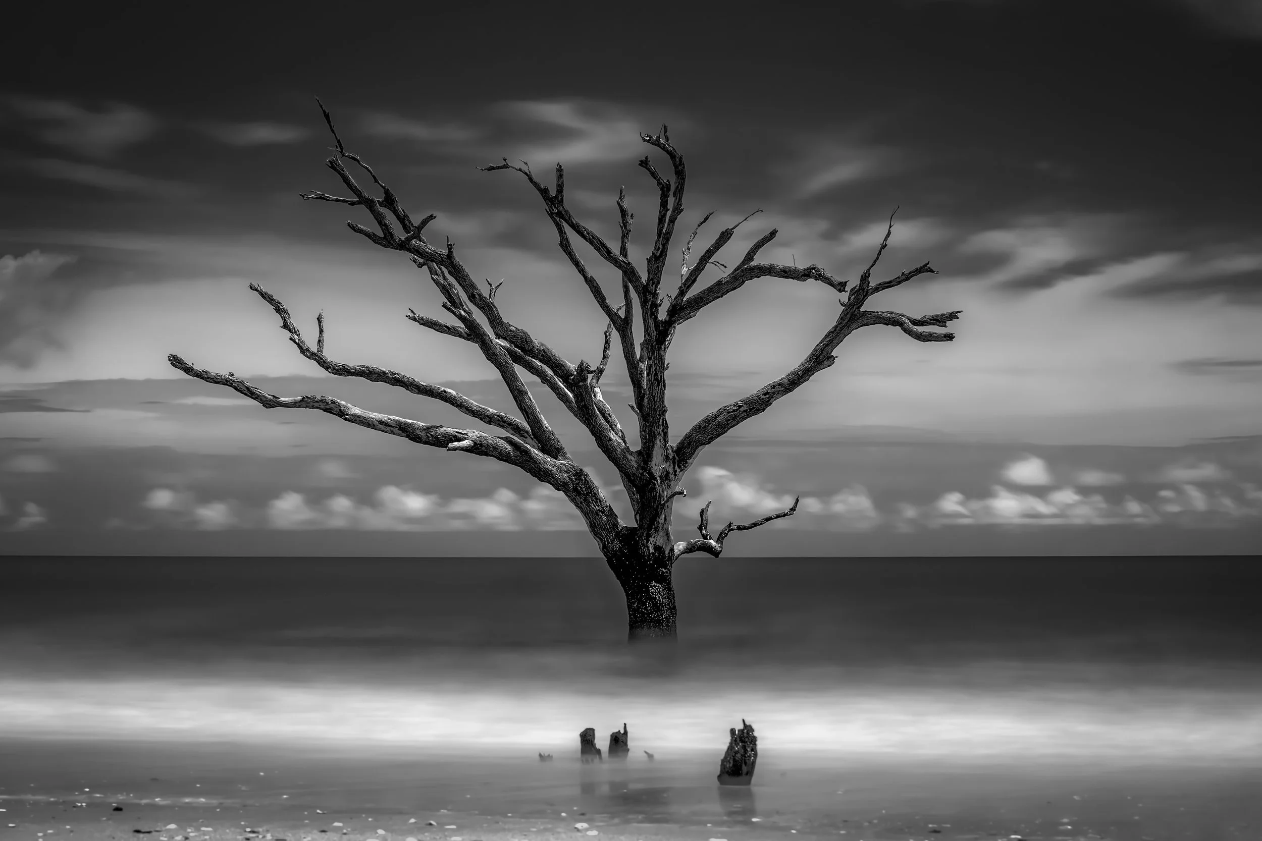 Holding Ground - South Carolina
