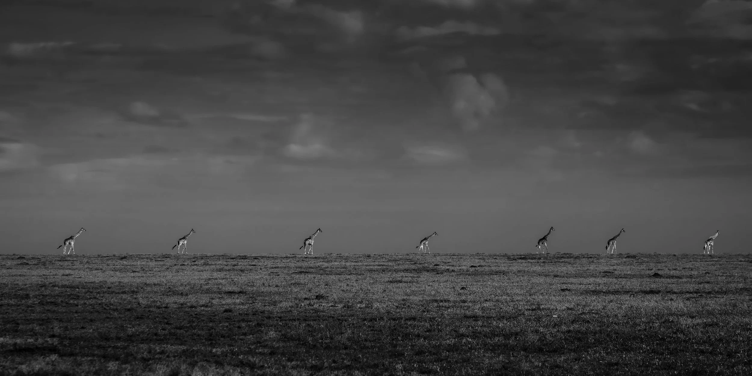 Seven Travelers