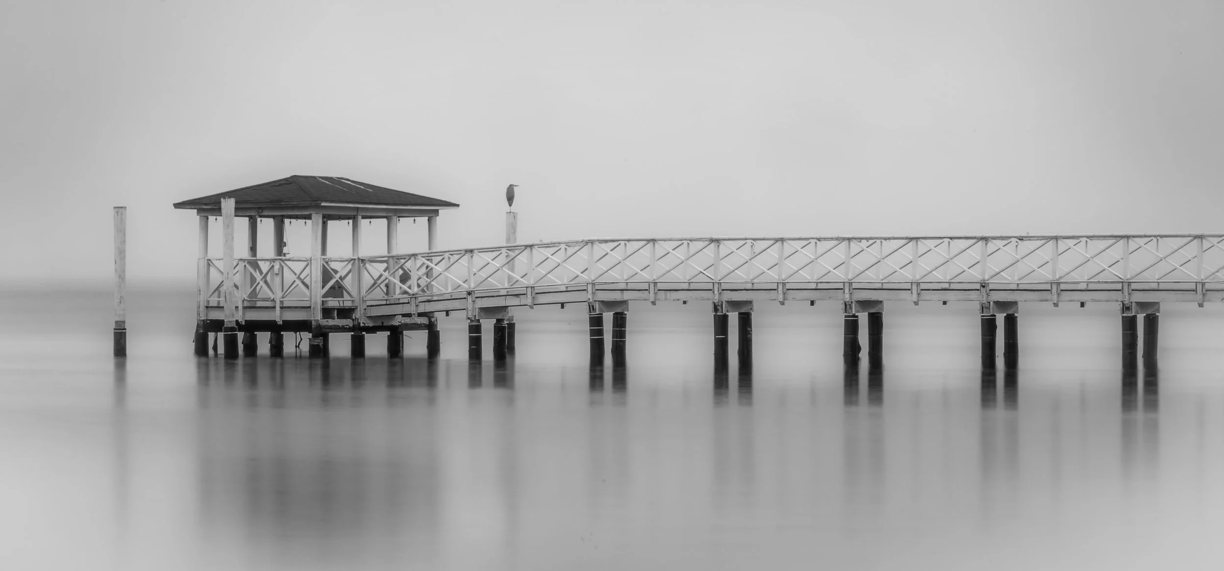 Where the River Disappears - Florida