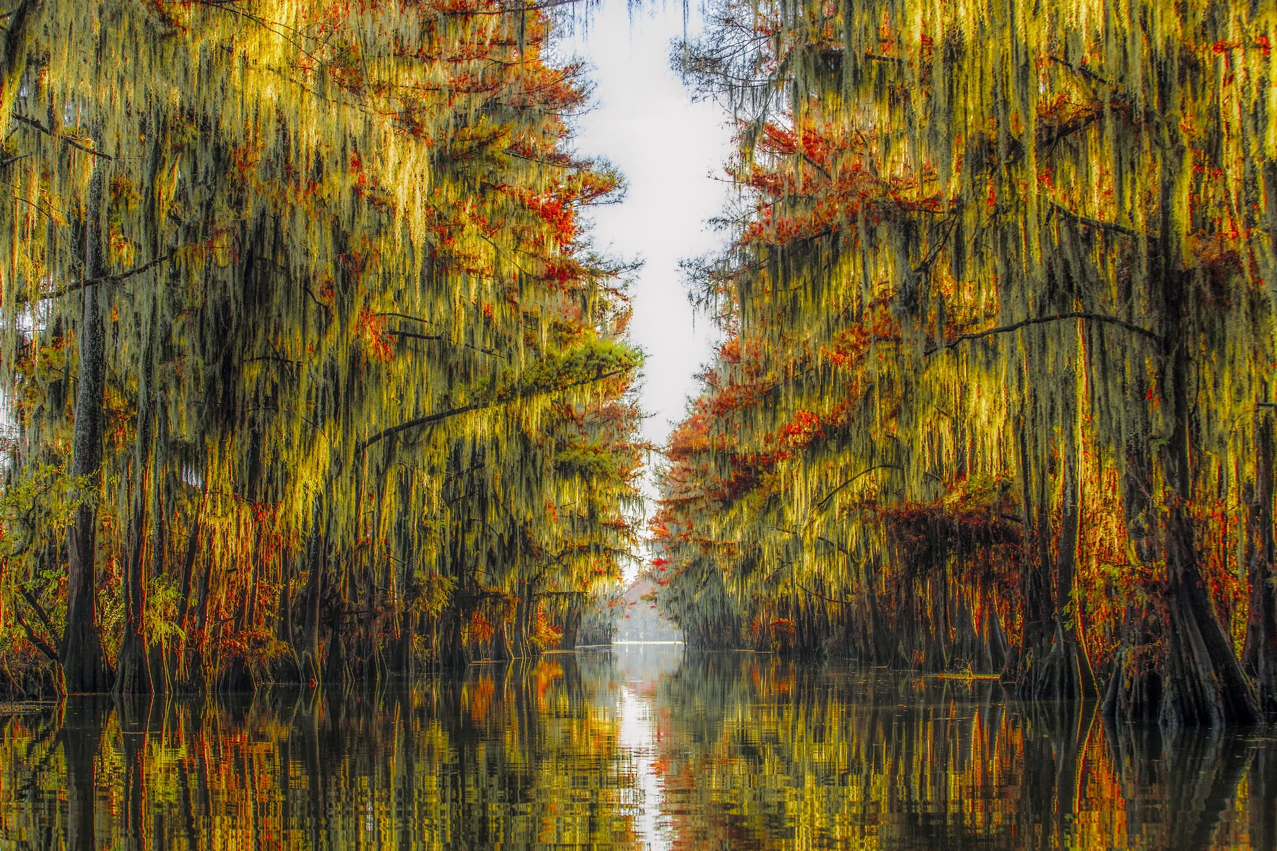 Caddo Lake, Texas