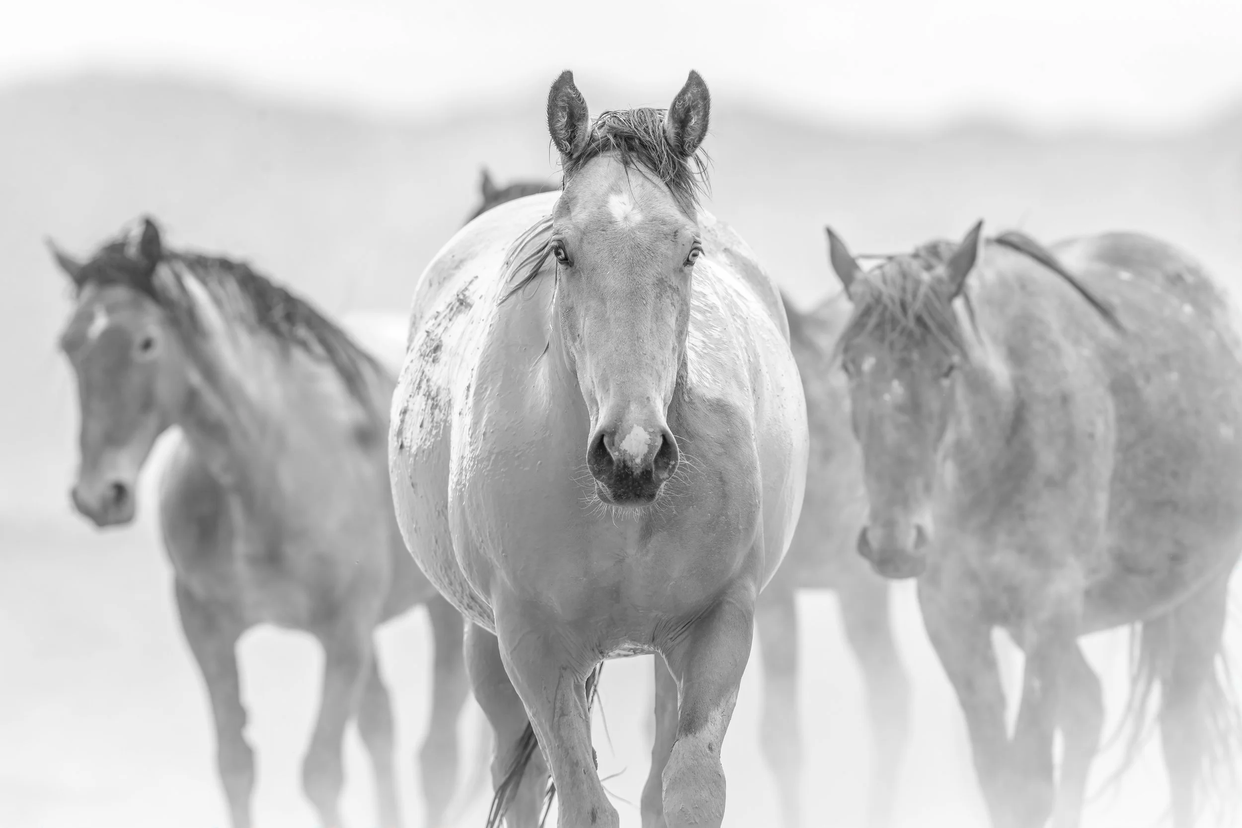 Ghost Riders