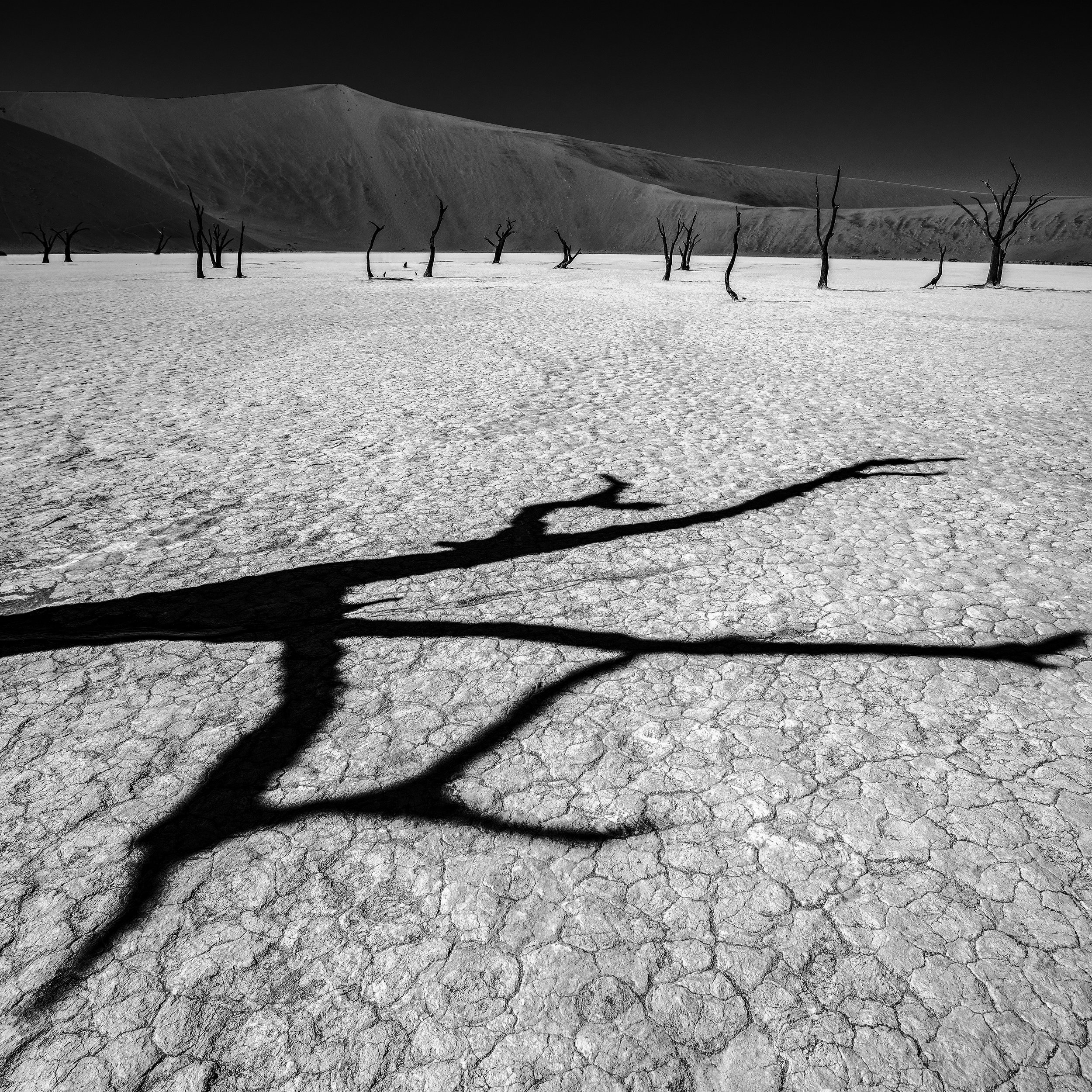 Where Nothing Grows - Namibia