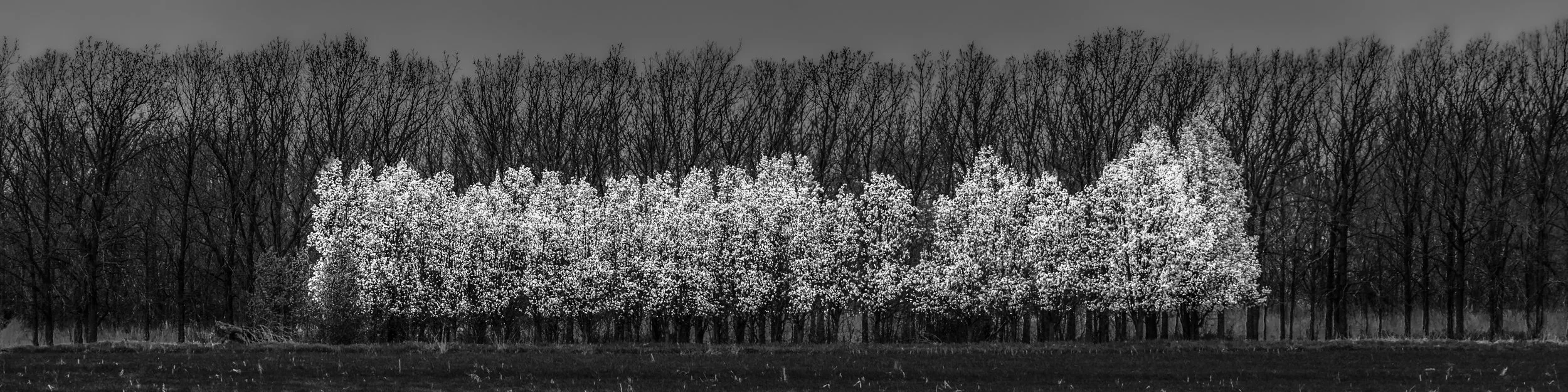 Between Seasons - Kansas