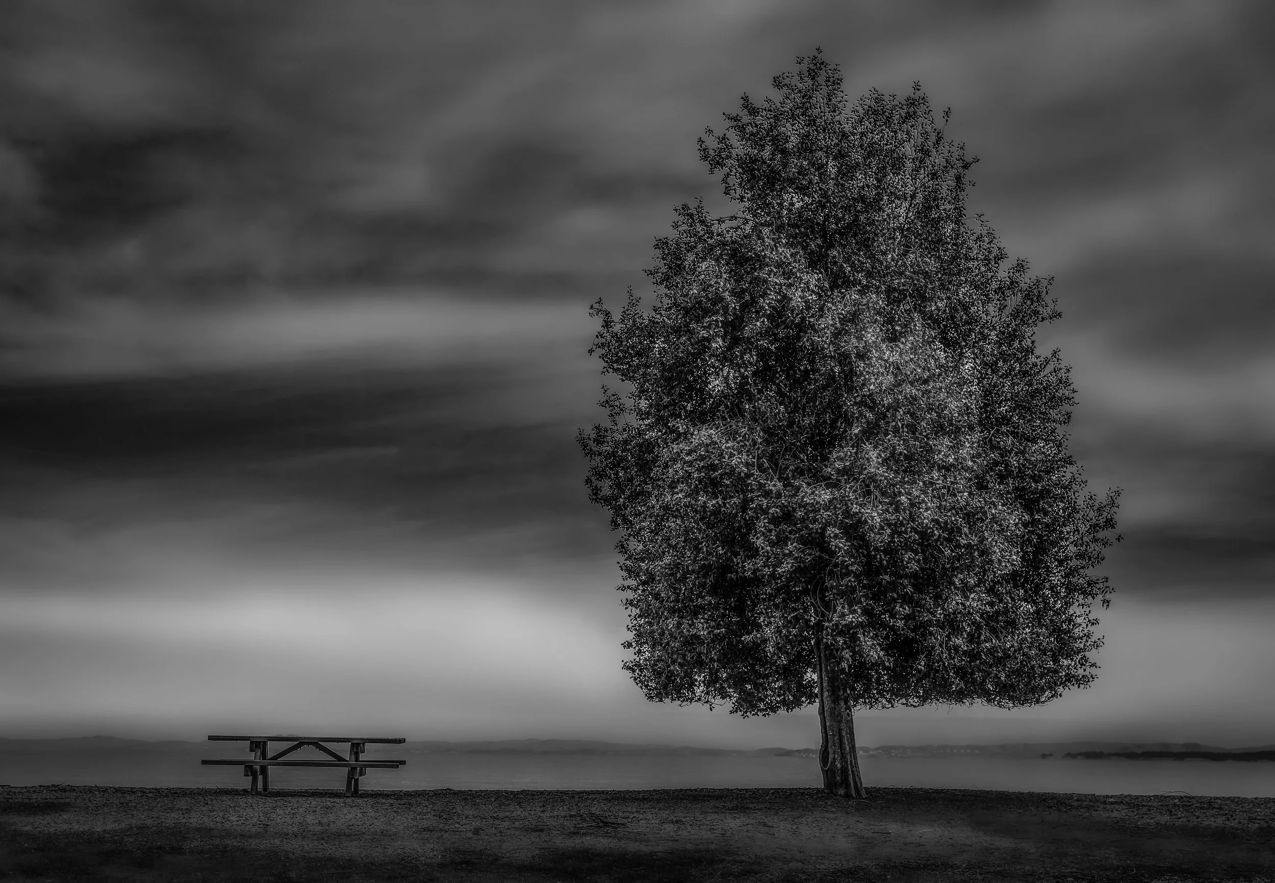 A Place to Sit - California