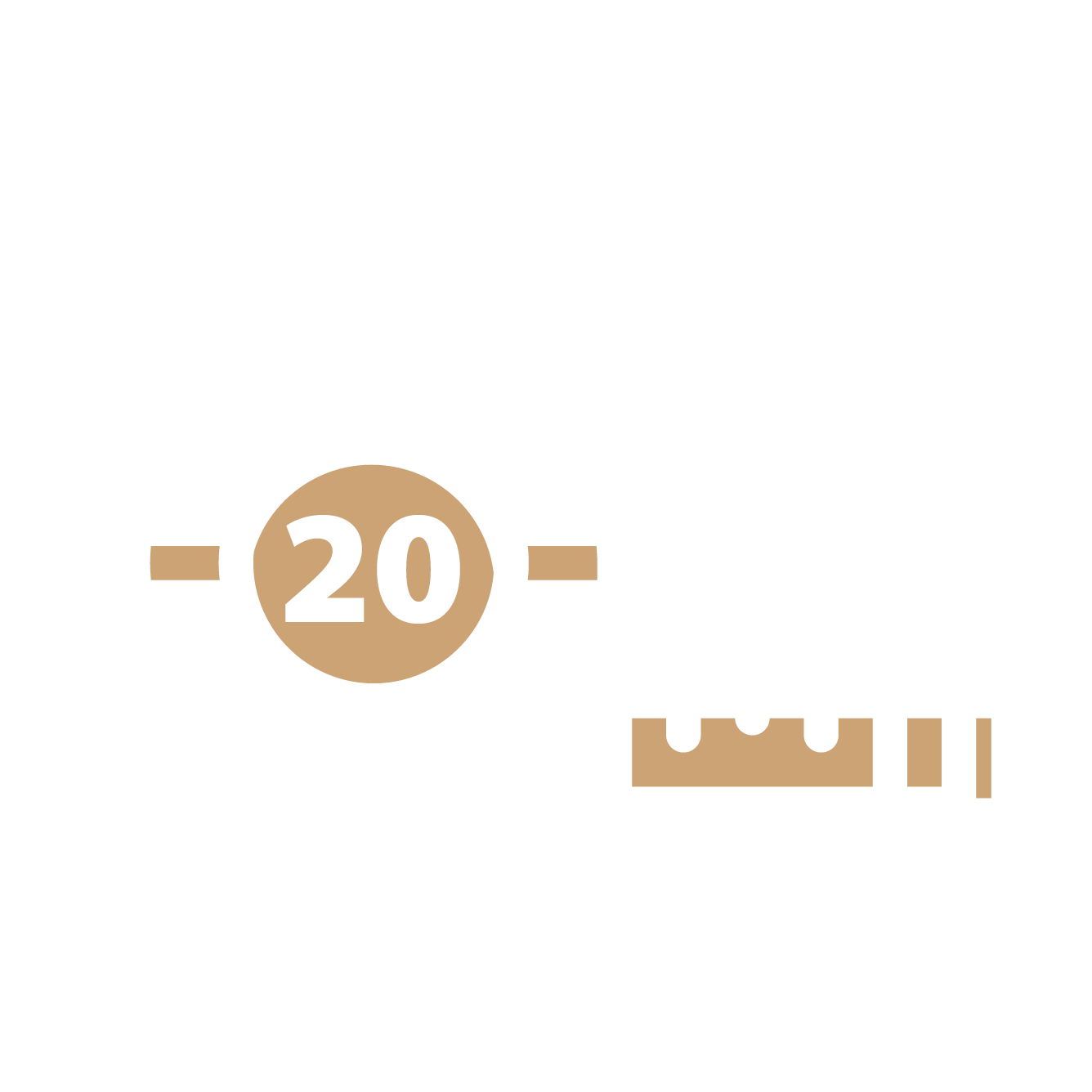 Over 20 years' experience