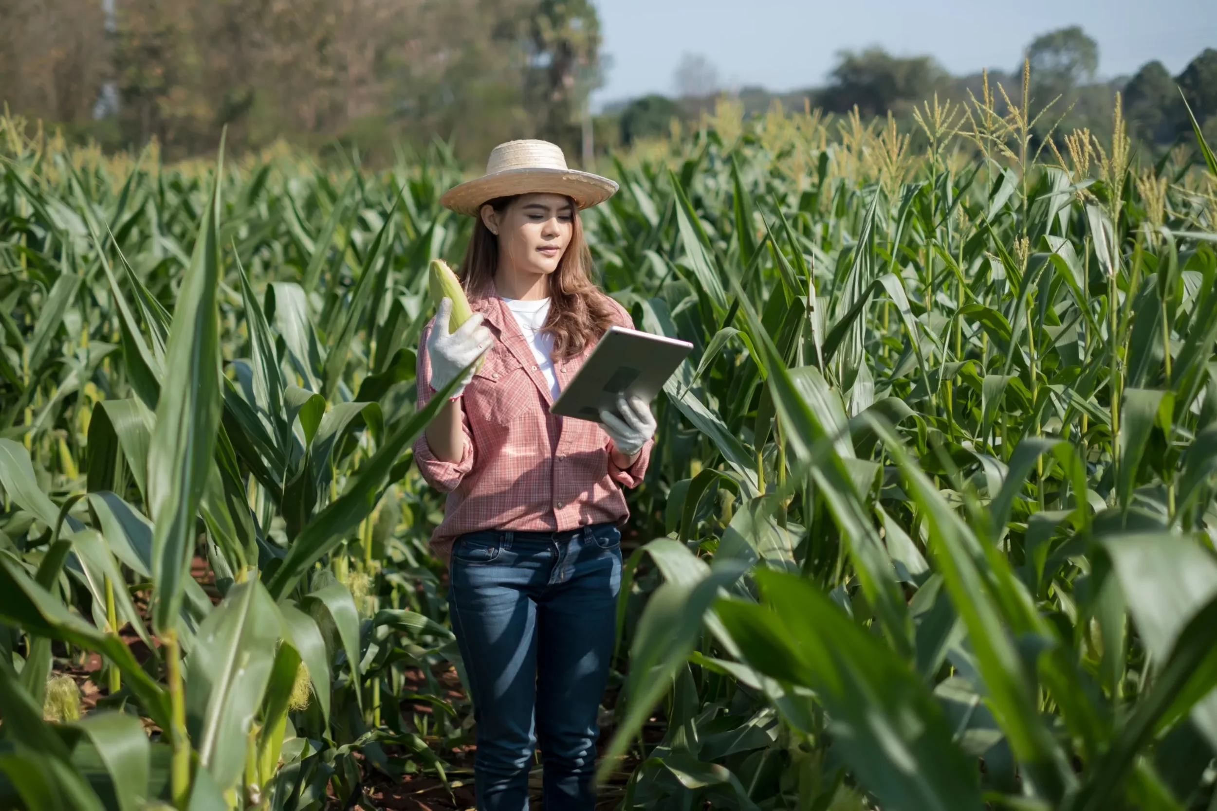 Public consultation invited on the Review of the Food Standards Australia New Zealand Act 1991 (FSANZ Act Review)