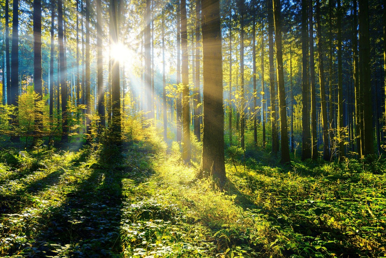 When sustainability needs proof