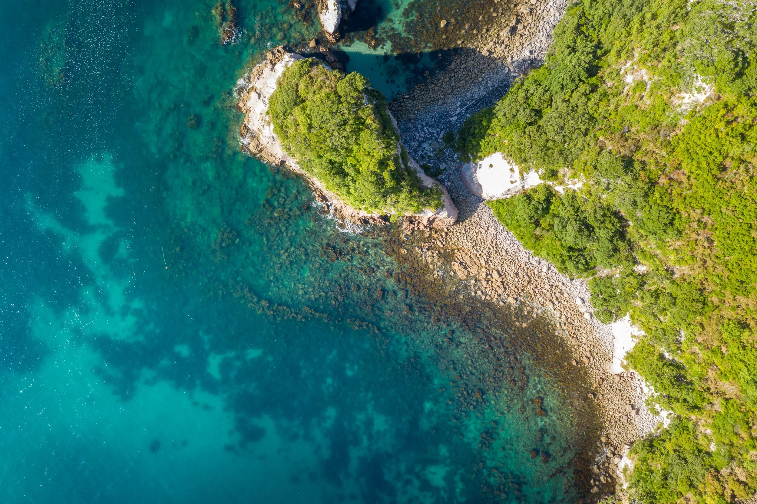 A bird's eye view of a coastal landscape, with clear blue water meeting a green coastline
