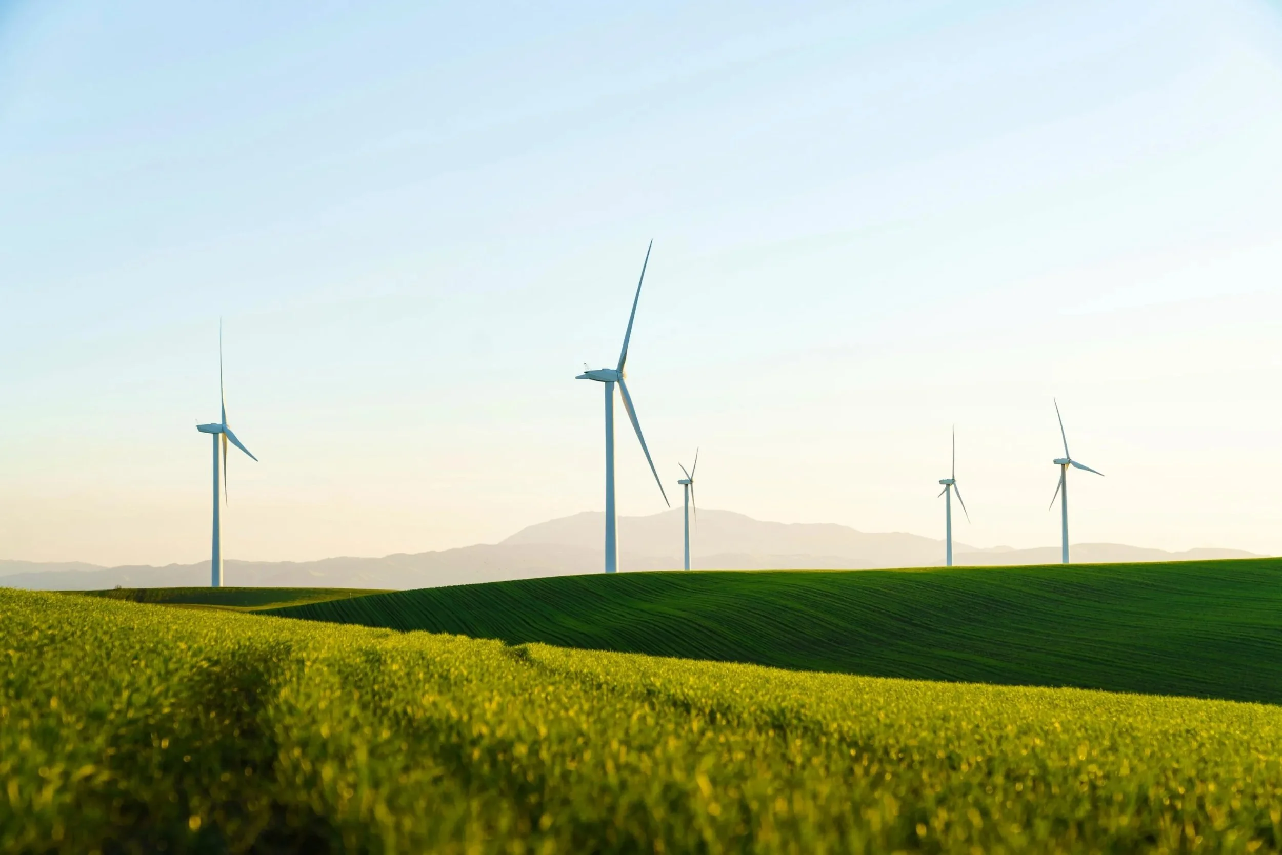 Energy windmills spread across a rolling green landscape