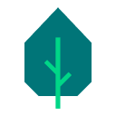 Simple illustration of a green pine tree inside a dark hexagon background.