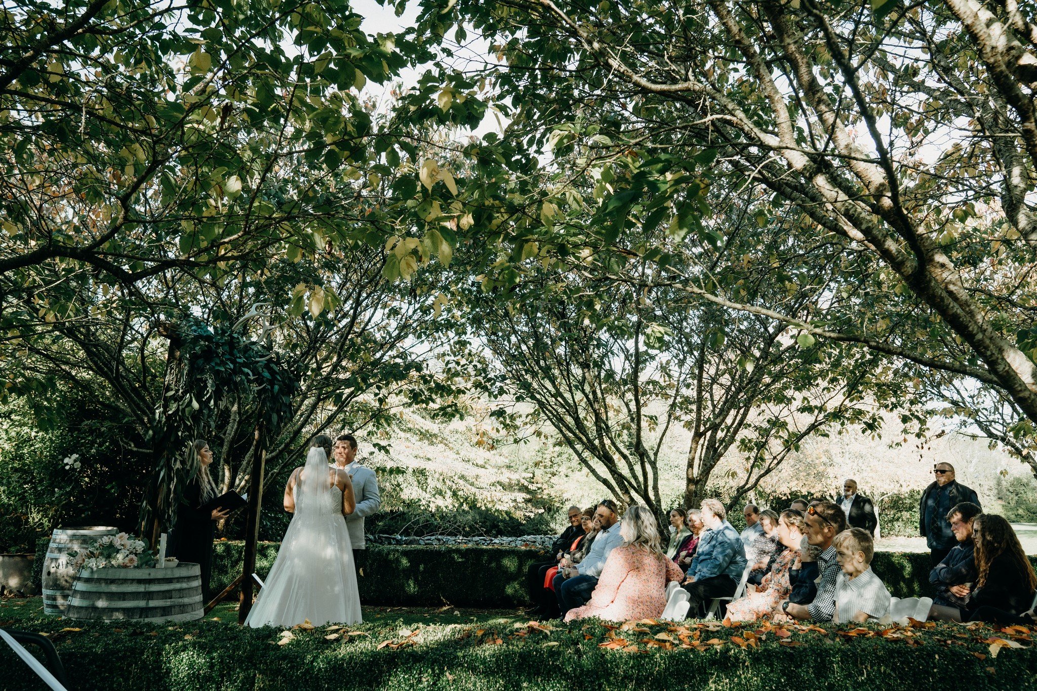 Ceremony bride and groom tree lane 