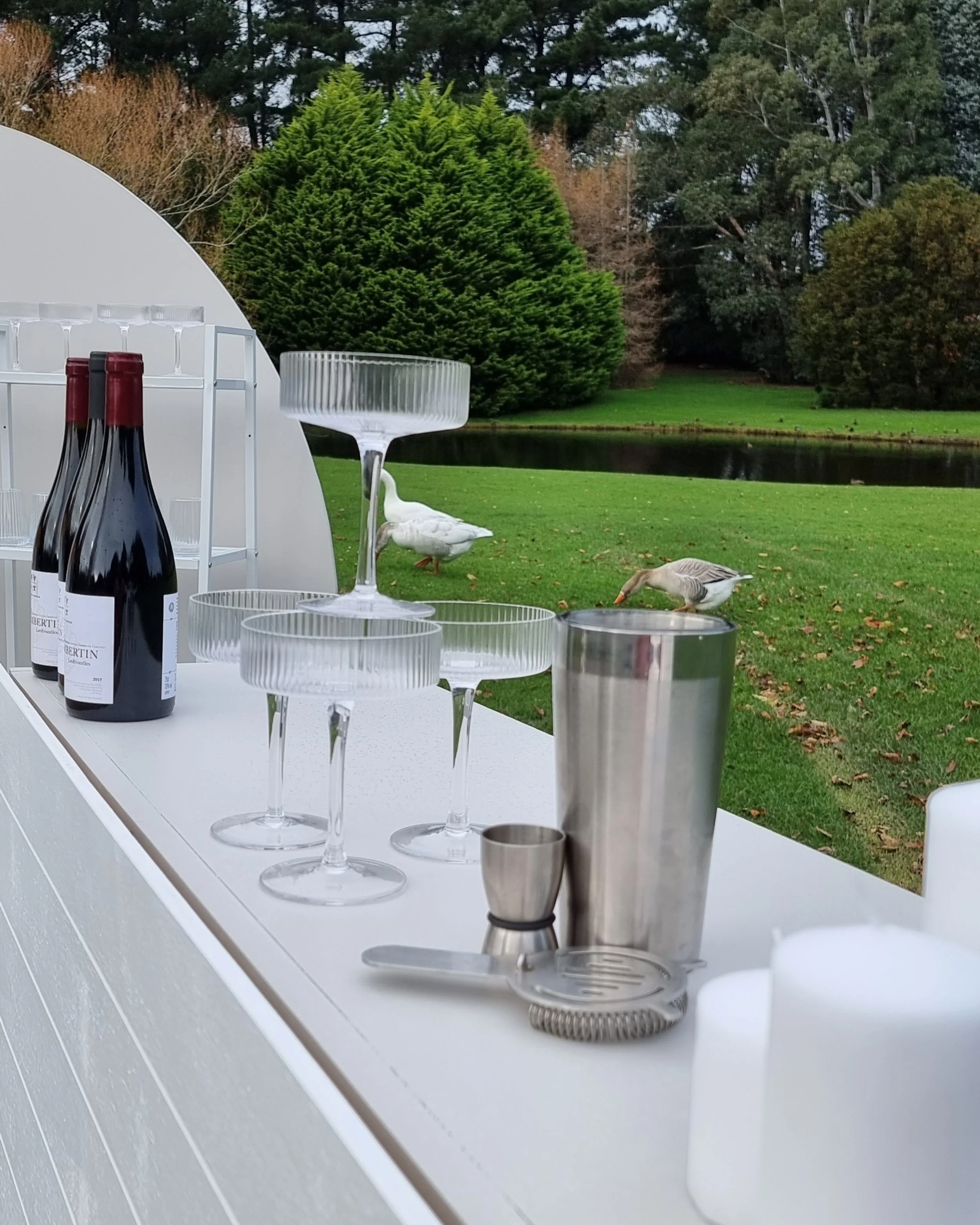 A white outdoor bar setup with wine bottles, glassware, and cocktail-making tools on a table, overlooking a green park with a pond, trees, and two swans.