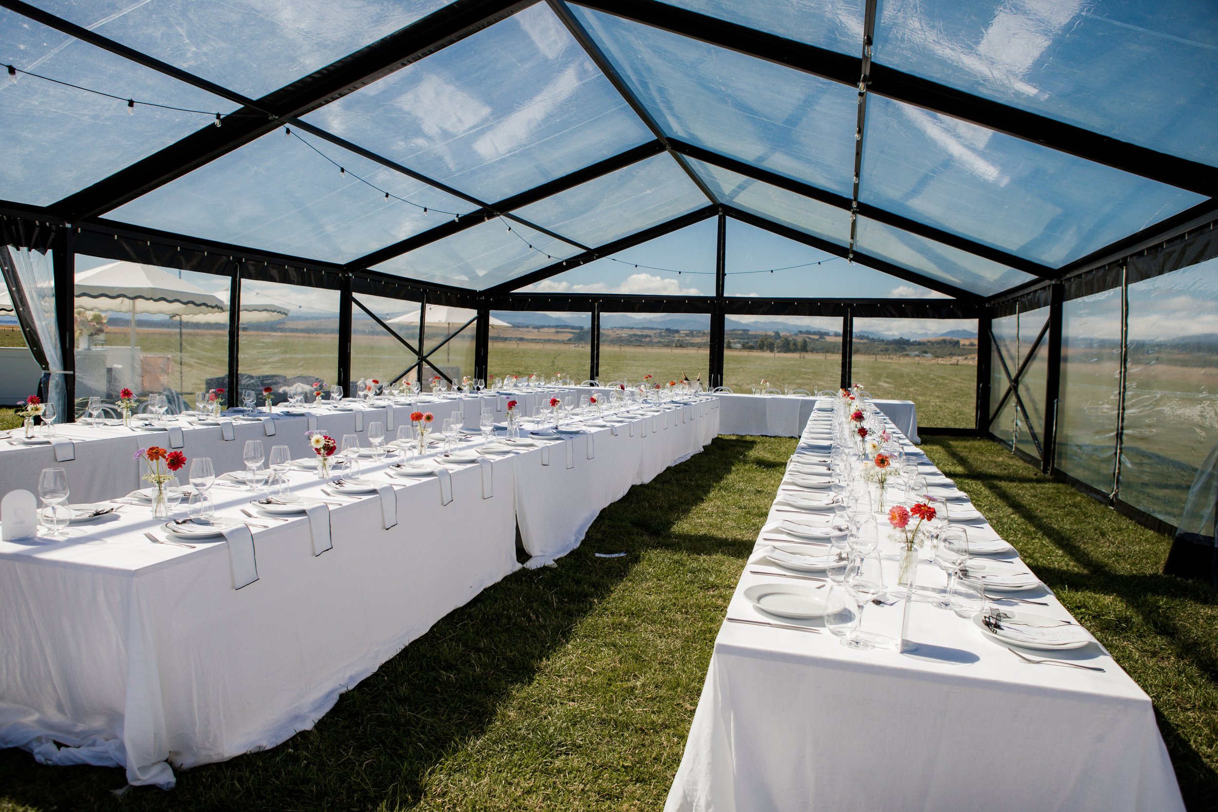 WEDDING-1244.JPG