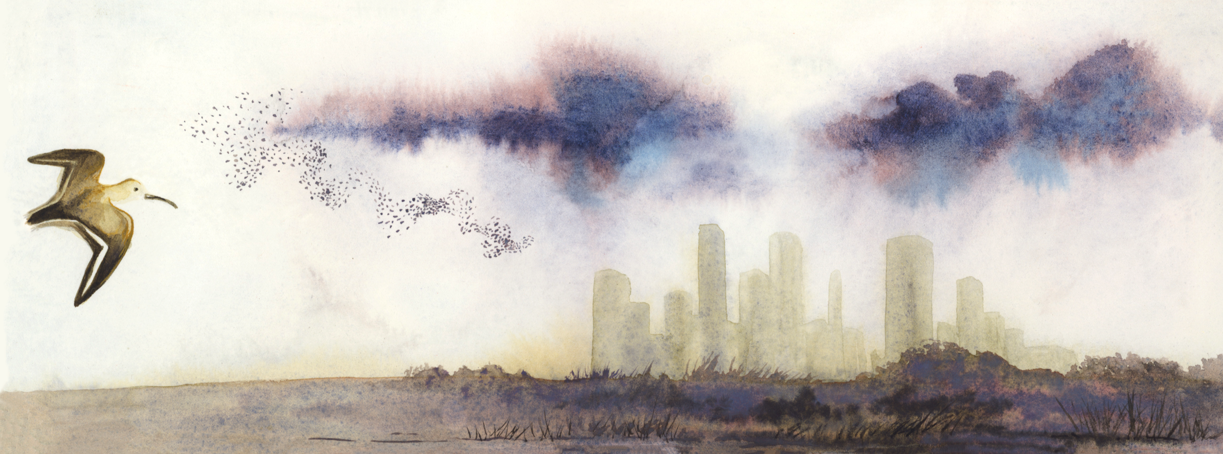 Birds+flying+towards+city.png