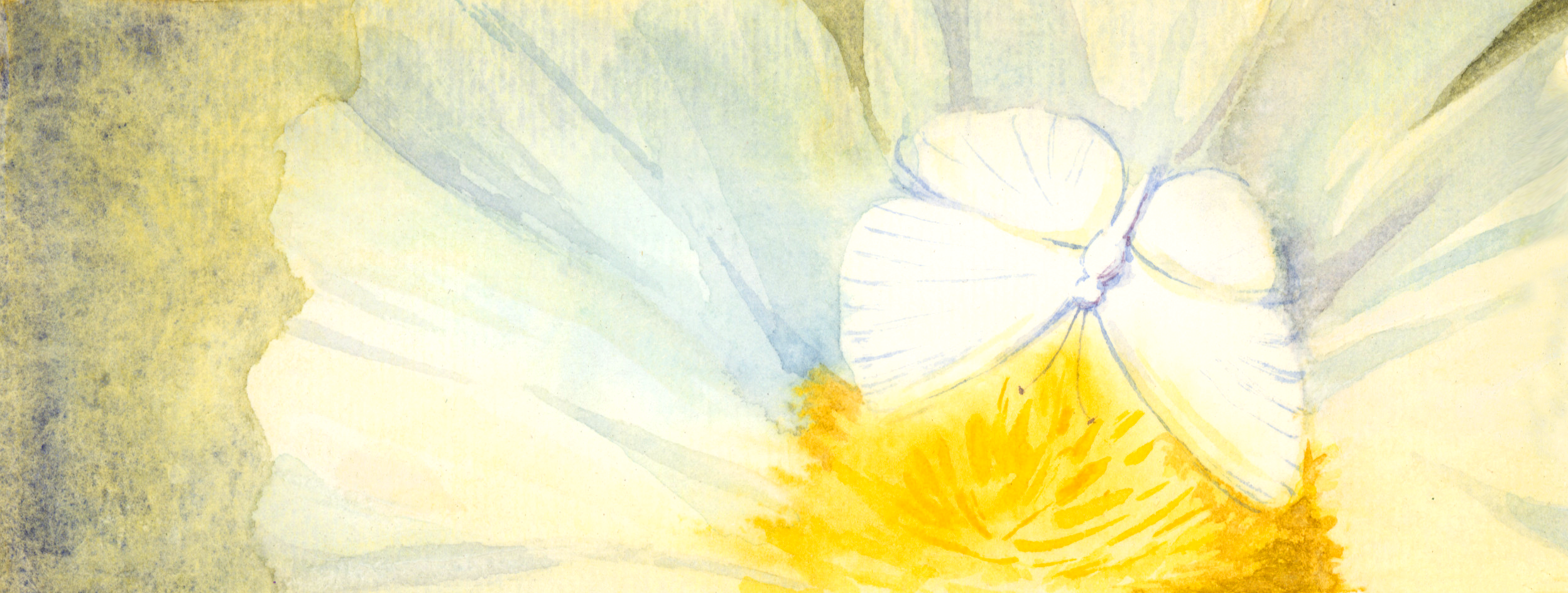 Butterfly and flower.png